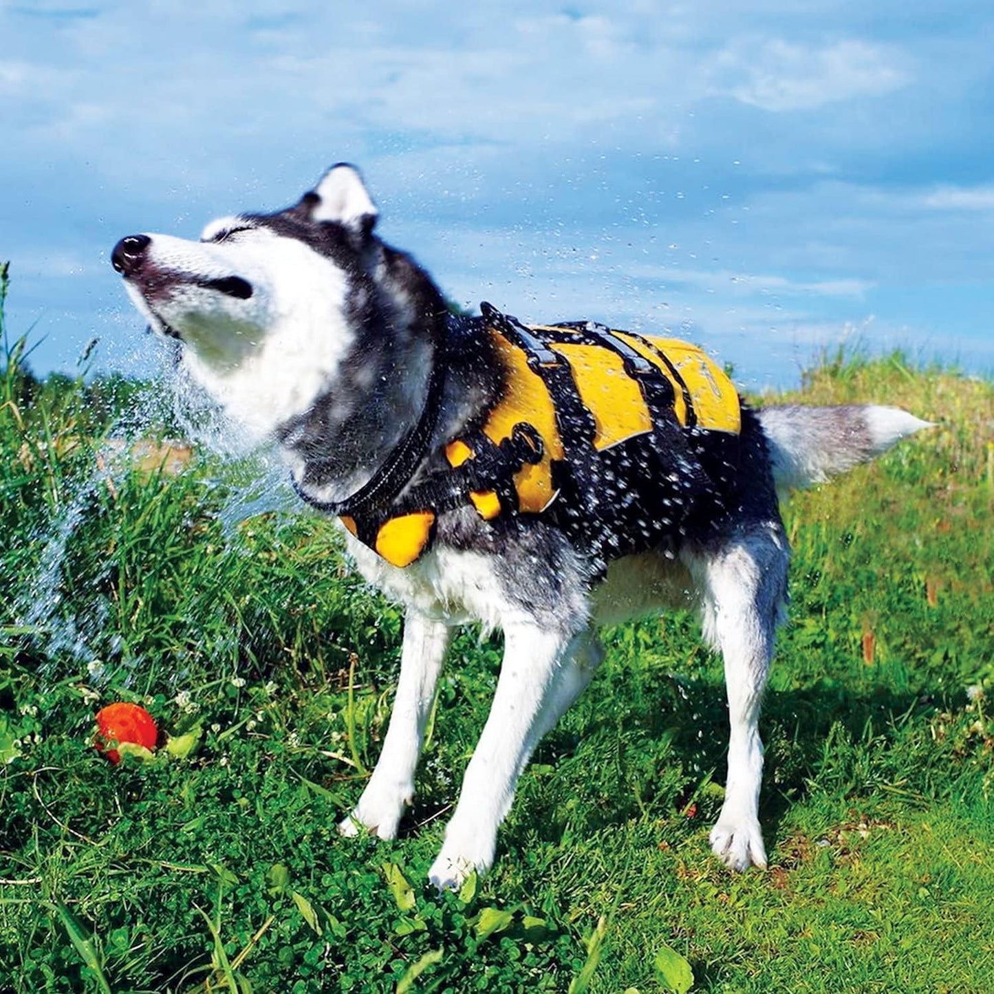 DFD Dog Life Jacket, Dog Life Vest for Swimming - Medium, Yellow