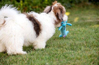 Plush Smiling Dog Toy with Squeaker, Medium Size