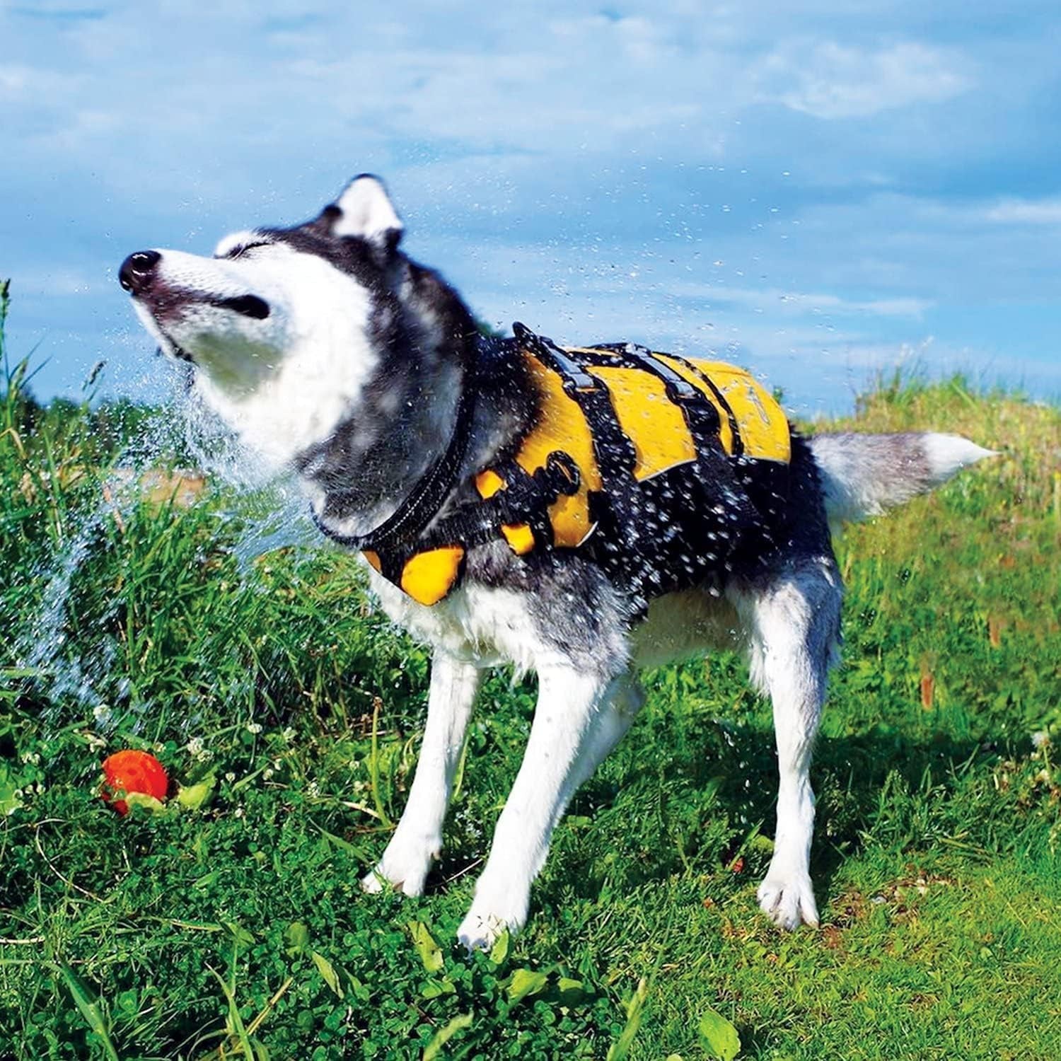 DFD Dog Life Jacket, Dog Life Vest for Swimming - Medium, Yellow